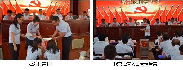 Z6尊龙·凯时(中国)-官方网站
